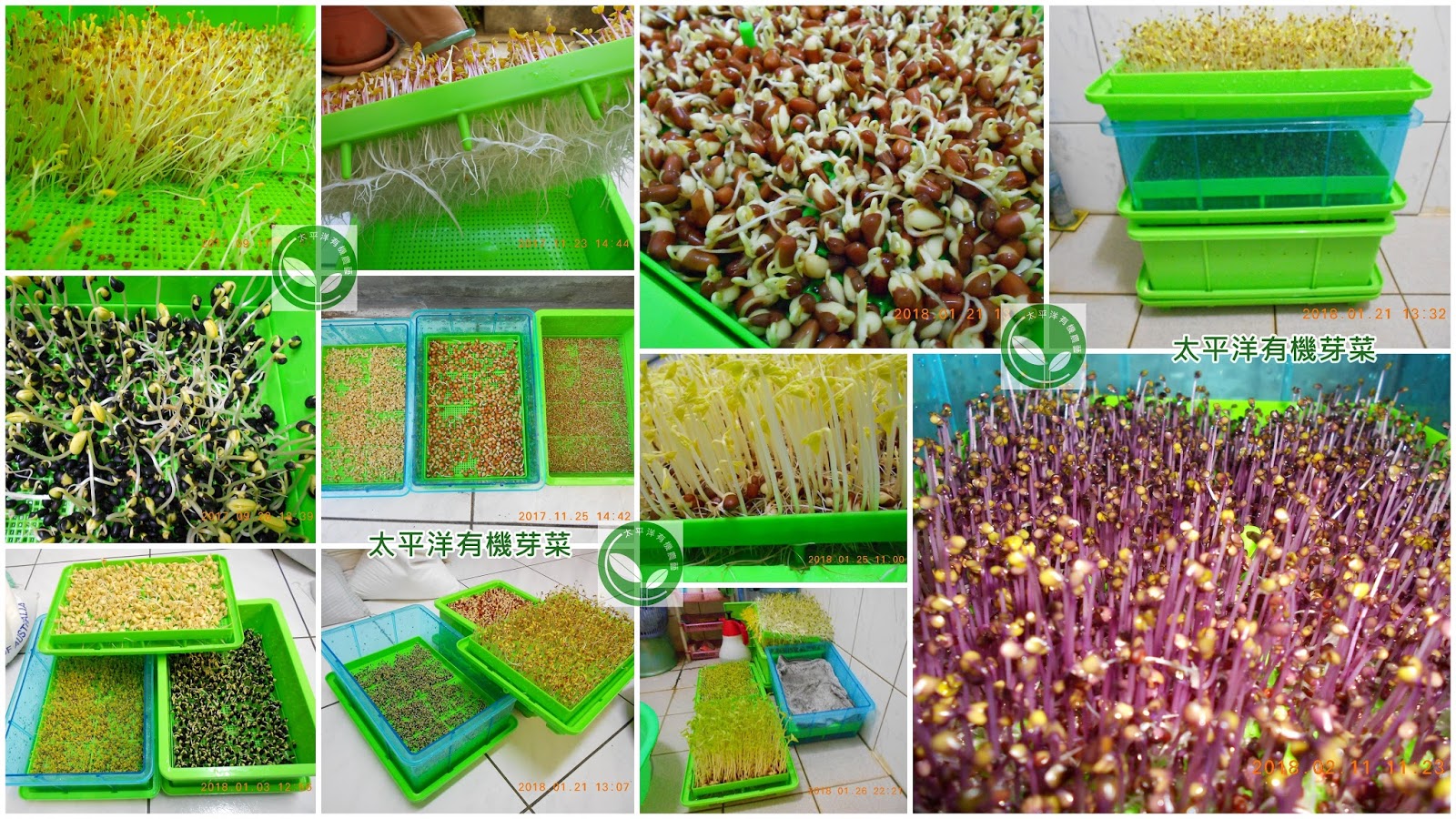 �����R,�����R��,���Ⱚ�R��,������ŵ�,�����R��i,�����R����i,�����ŵ��ܦ�,�����ŵ浵���ߵ�,�����R��